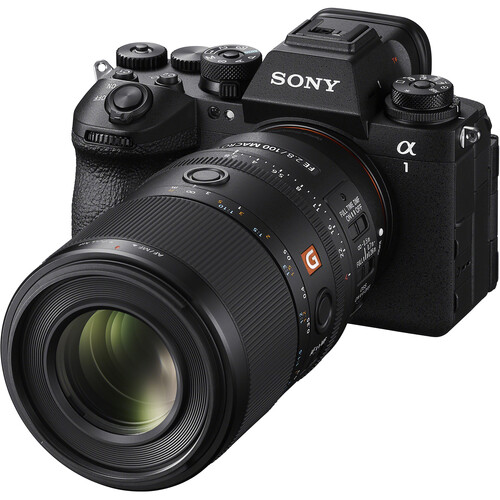 Sony Announces the FE 100mm F2.8 Macro GM