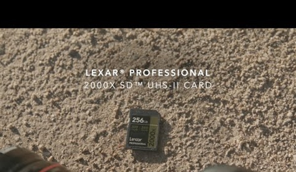 Lexar 256GB Professional 2000x UHS-II SDXC Memory Card