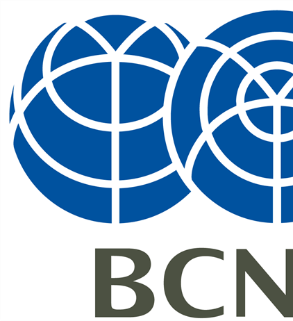 2026 BCN Awards: Kodak Takes the Lead in Japan’s Compact Camera Market